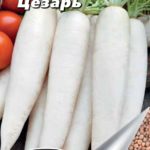 Дайкон Цезарь