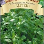 Сорт эстрагона Ацтек