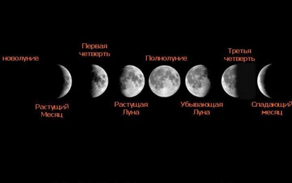 фазы луны