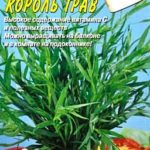 Сорт эстрагона Король трав