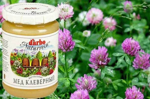 Фасованный клеверный мёд
