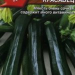 Семена кабачка Чёрный красавец от фирмы Аэлита
