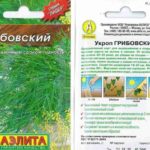 Грибовский