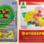 Фитоверм