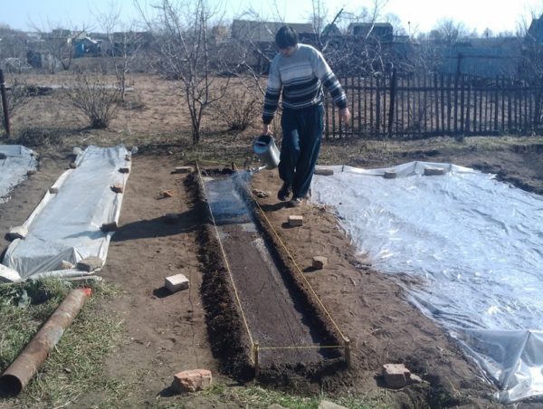 Посев редиса под зиму