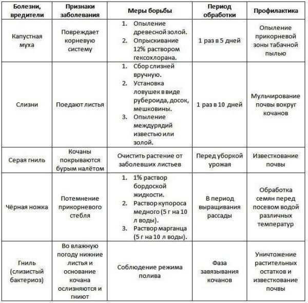 Профилактика болезней и защита от вредителей