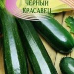 Семена цукини Чёрный красавец