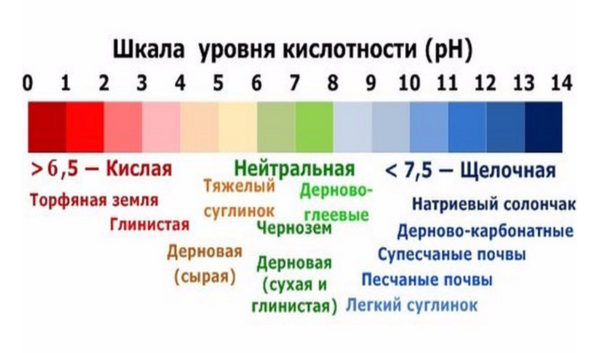 Шкала кислотности почвы