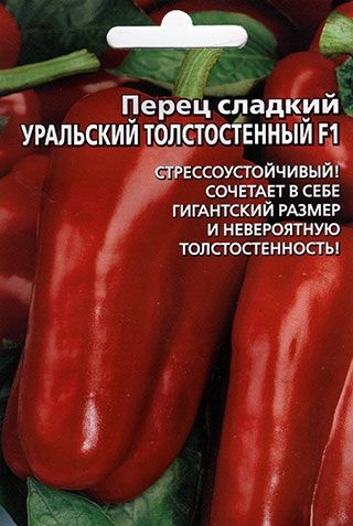 Сорт перца Уральский толстостенный