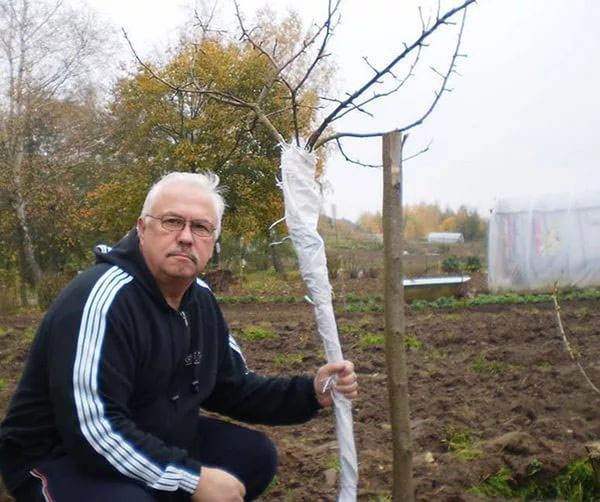 защита на зиму