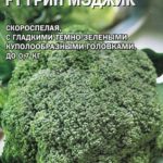 Брокколи Грин Мэджик