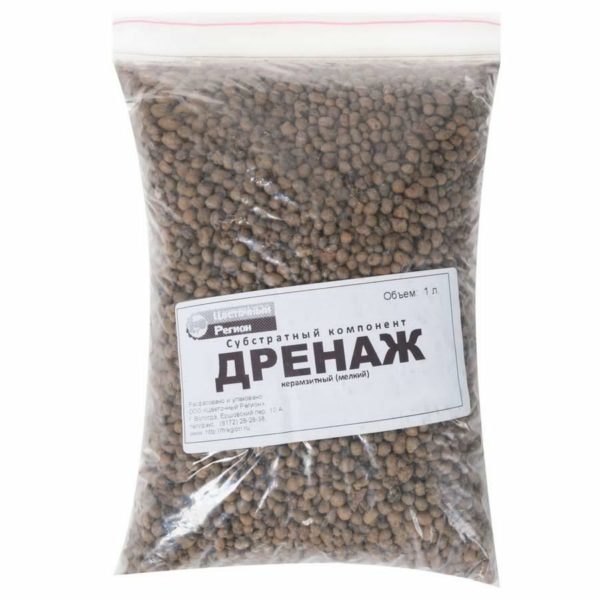 Дренаж для брокколи