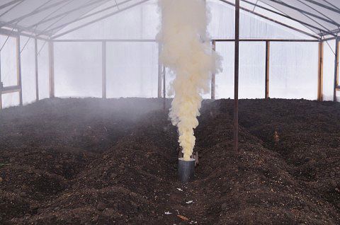 Газовая дезинфекция теплицы