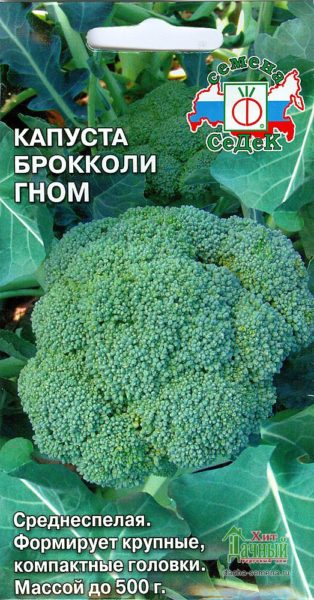 Сорт брокколи Гном