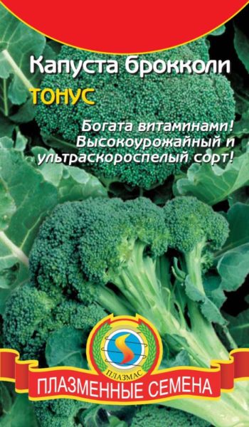 Сорт брокколи Тонус