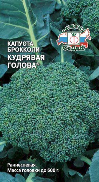 Сорт брокколи Кудрявая голова