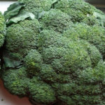 Ранний сорт брокколи Кудрявая голова