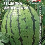 Сорт арбуза Шапка императора