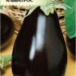Сорт баклажана Альбатрос