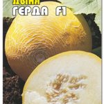Сорт дыни Герда F1