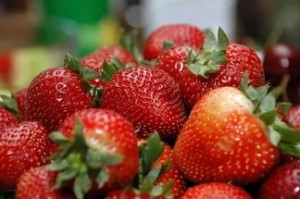 Клубника Корона: описание сорта, отзывы