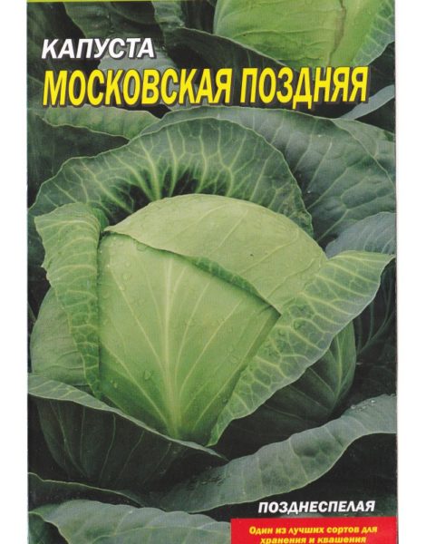 Капуста Московская поздняя
