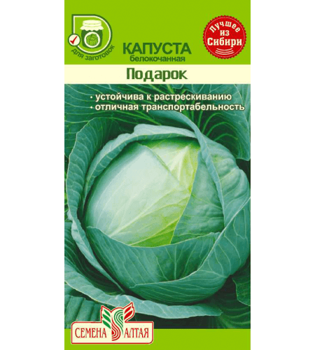 Капуста Подарок