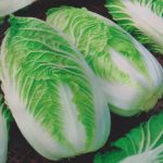Капуста Ворожея