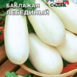 Сорт баклажана Лебединый