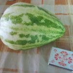 Сорт дыни Мечта сибарита
