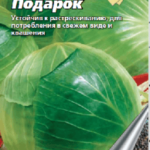 Сорт капусты Подарок