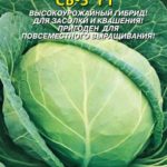 Сорт капусты СБ-3 F1