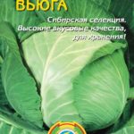 Сорт капусты Вьюга