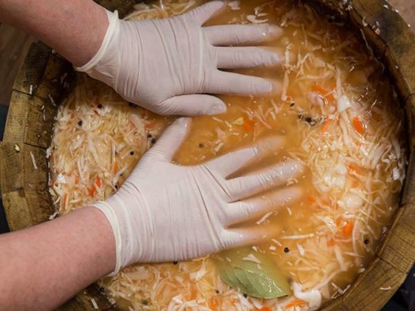 Засолка капусты