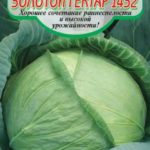 Сорт капусты Золотой гектар 1432