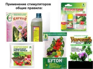 Чтобы не повредить посадочный материал внимательно изучите инструкцию и советы