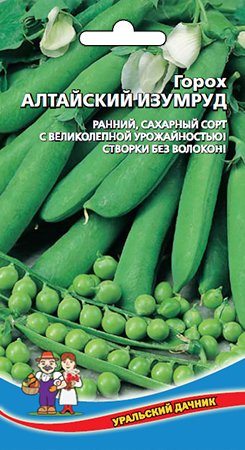 Сорт гороха Алтайский изумруд