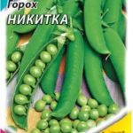 Сорт гороха Никитка