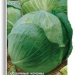 Семена капусты Надежда от фирмы «Поиск»