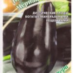 Сорт Черная Масть