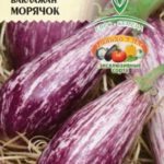 Сорт Морячок