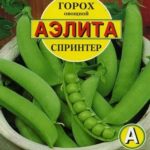 Сорт гороха Спринтер