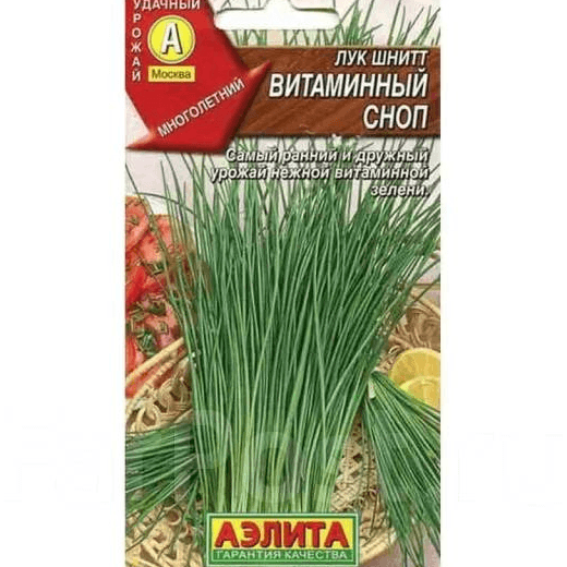 орт шнитт-лука Витаминный сноп
