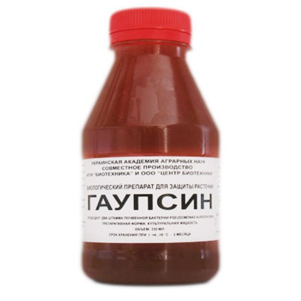 Гаупсин