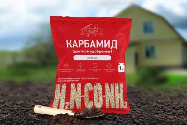 Подкормка мочевиной