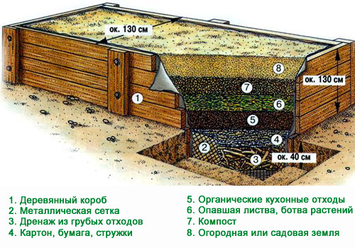 Схематическое изображение тёплой грядки