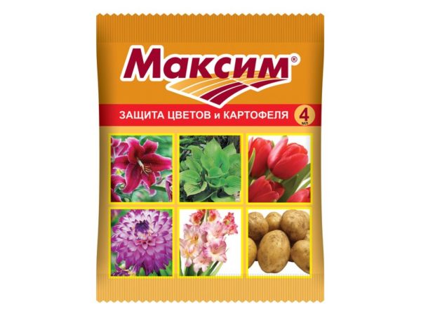 Препарат Максим