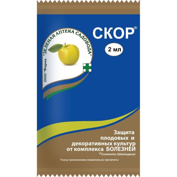 Скор