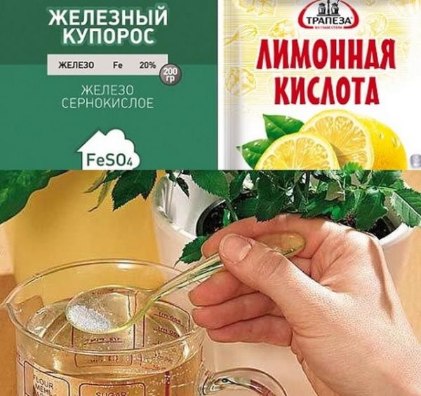 Приготовление хелата железа
