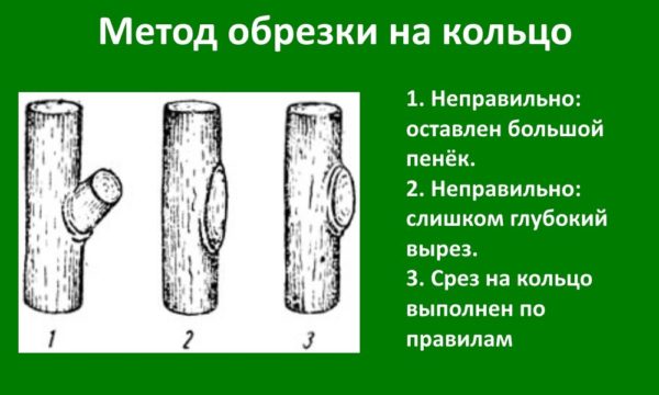 Схема выполнения обрезки «на кольцо»
